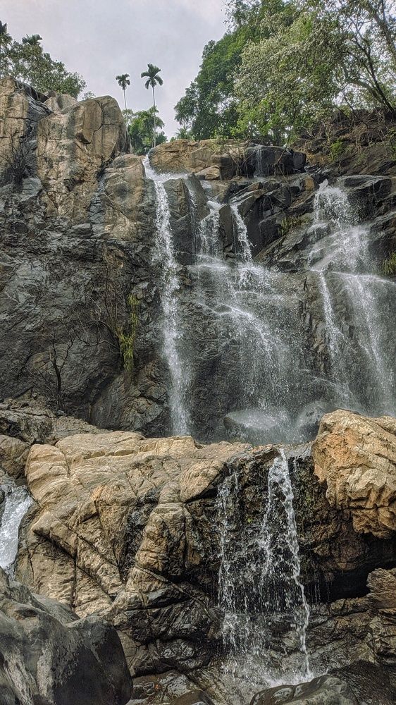 Photograph by Vijayakumar