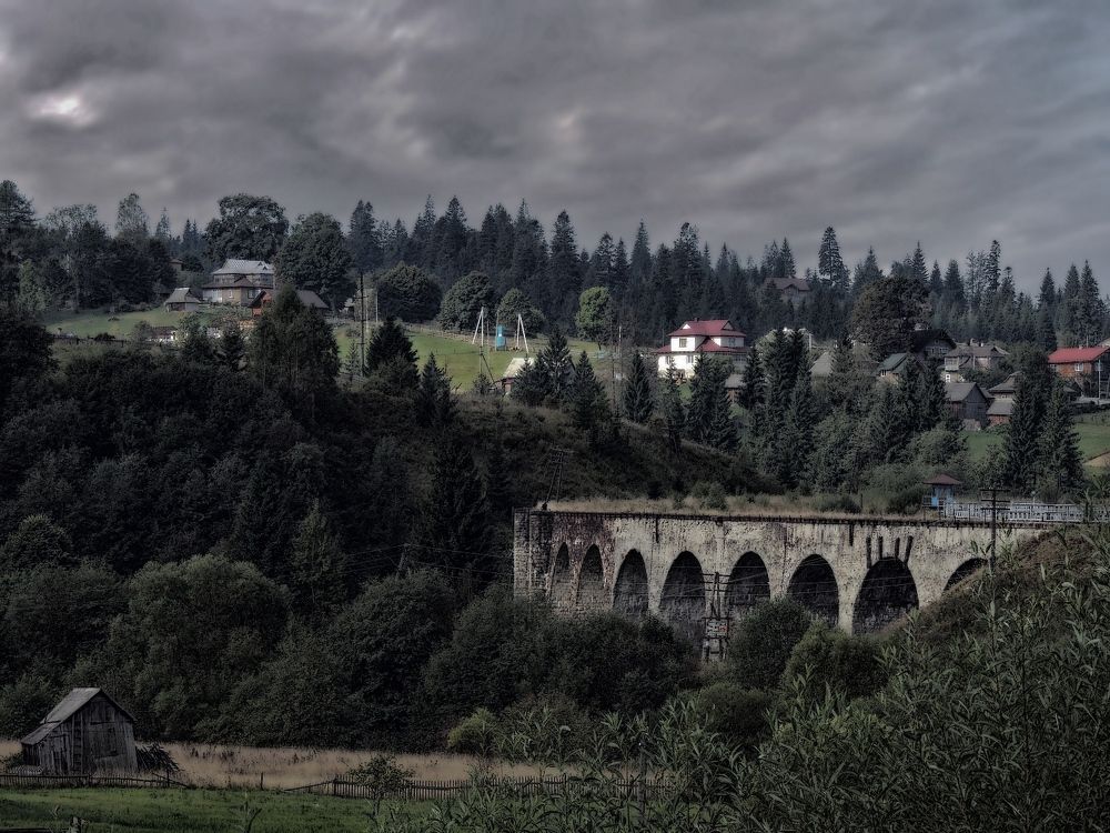 Photograph by Роман Савоцкий