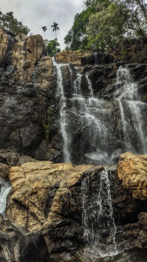 Photograph by Vijayakumar