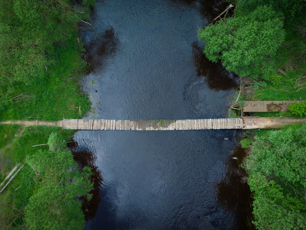 Photograph by Дмитрий Котов