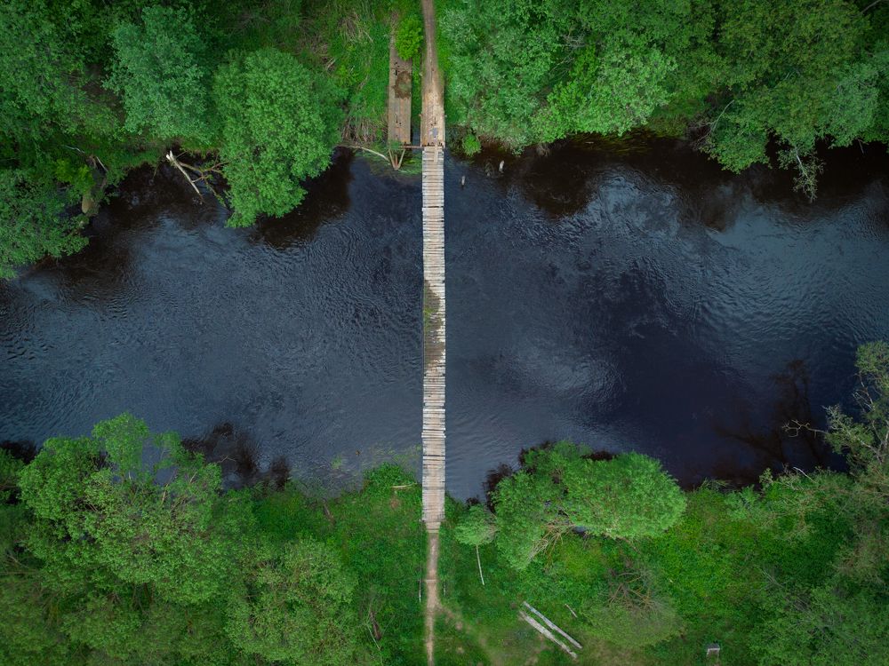 Photograph by Дмитрий Котов