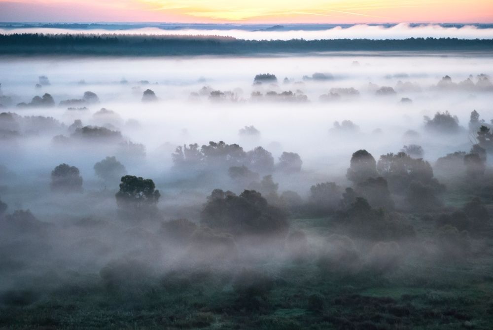 Фотография автора Алексей Самойлов