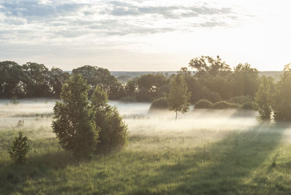 Фотография автора Алексей Самойлов