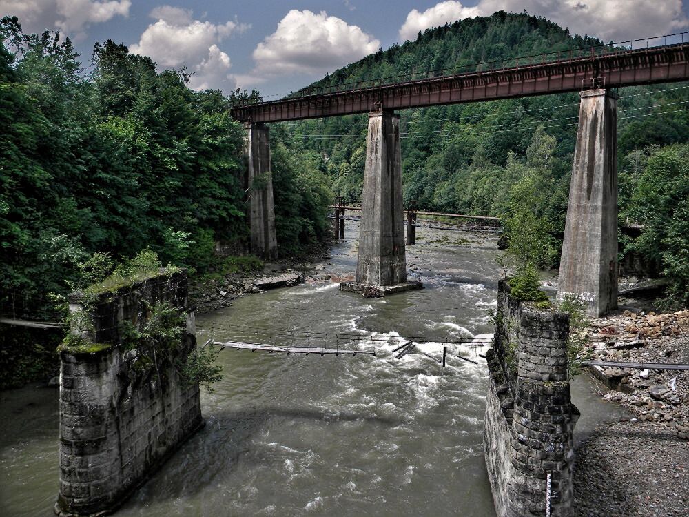 Фотография автора Роман Савоцкий