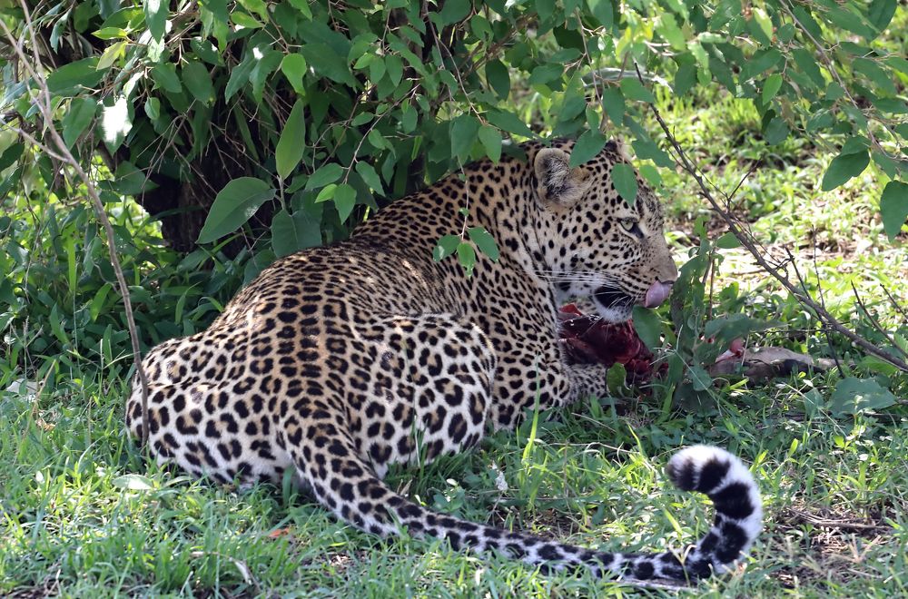 Photograph by Елена Врублевская