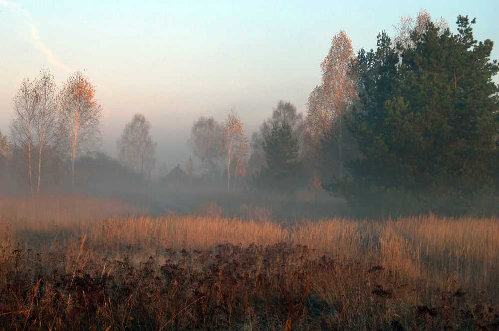 Photograph by Майя Синичкина