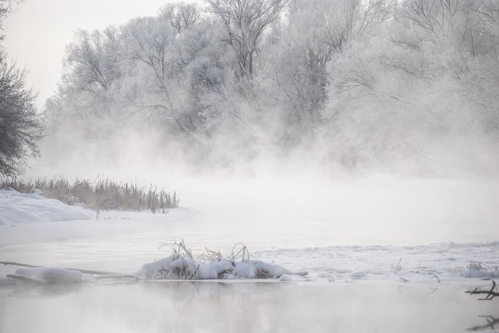 Фотография автора Алексей Самойлов