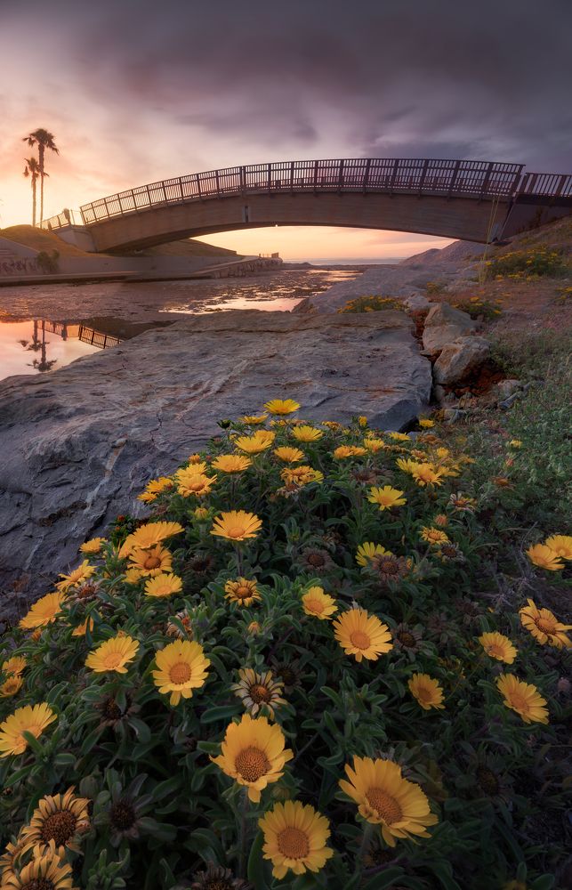 Photograph by Camacho Anto