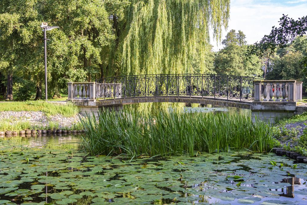 Photograph by Оксана Кузнецова