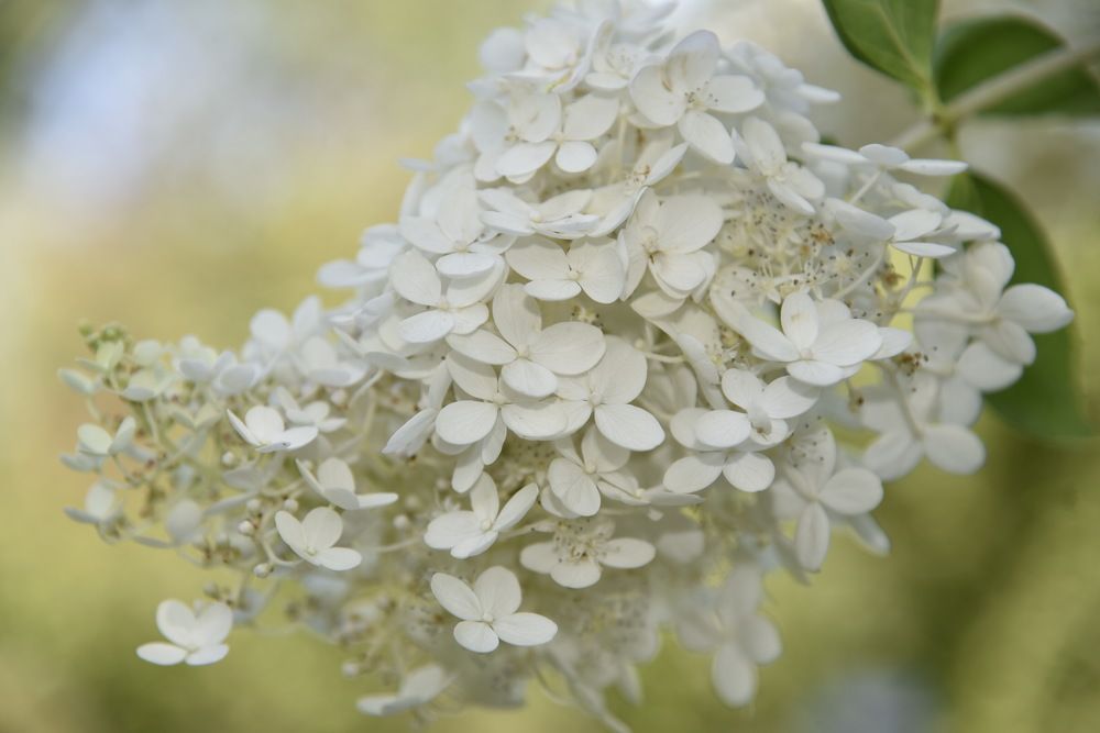 Photograph by Людмила Воропаева