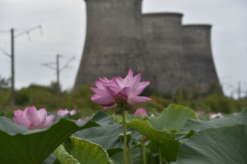 Photograph by Людмила Воропаева