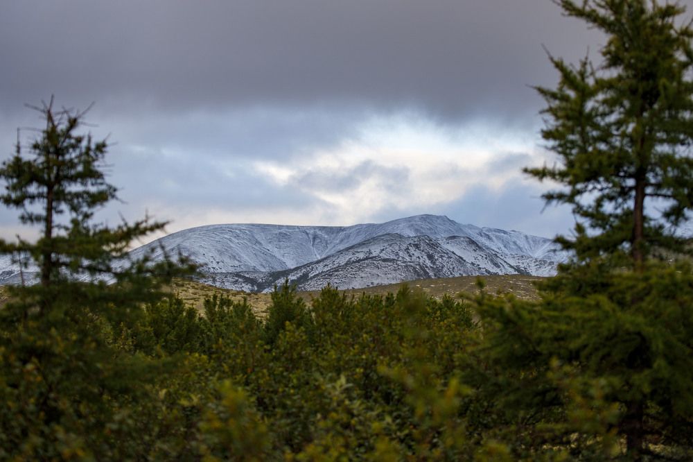 Photograph by Dmitriy Marchenko