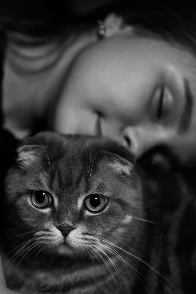 Photograph by Тинякова Светлана