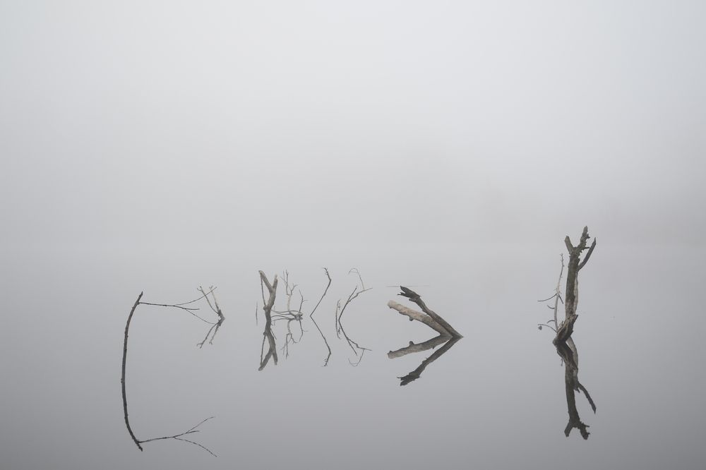 Photograph by Карина Слабкая