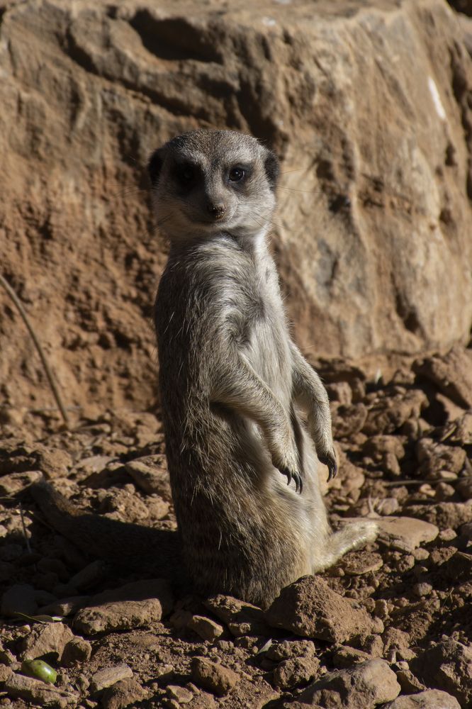 Photograph by Kostas Rammos