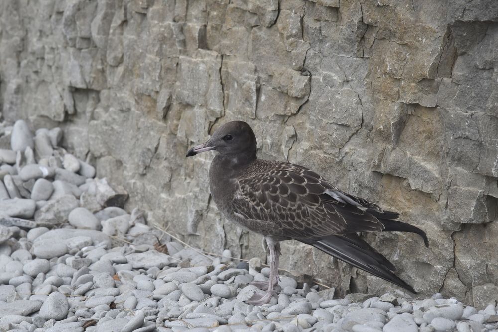 Photograph by Людмила Воропаева