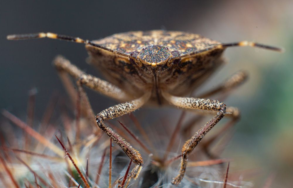 Photograph by Вячеслав Смеликов