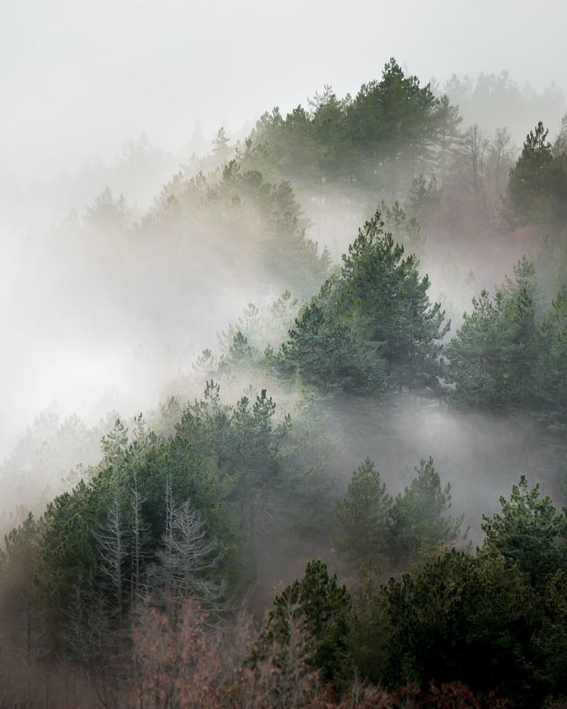 Photograph by Vladislav Chanev