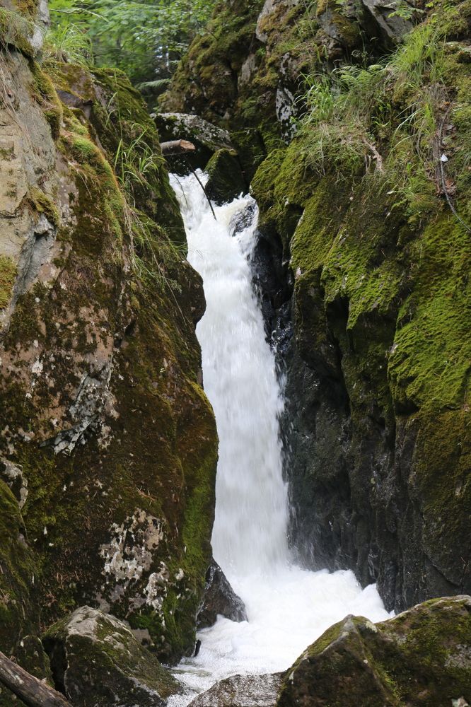 Photograph by Софья