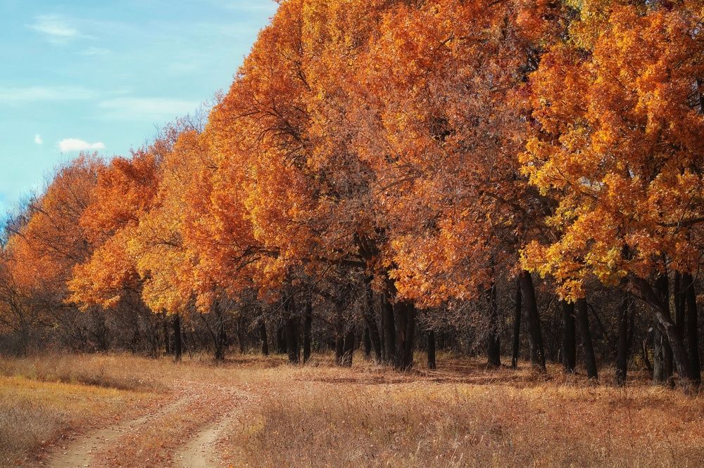 Photograph by Гульжан Шарипова
