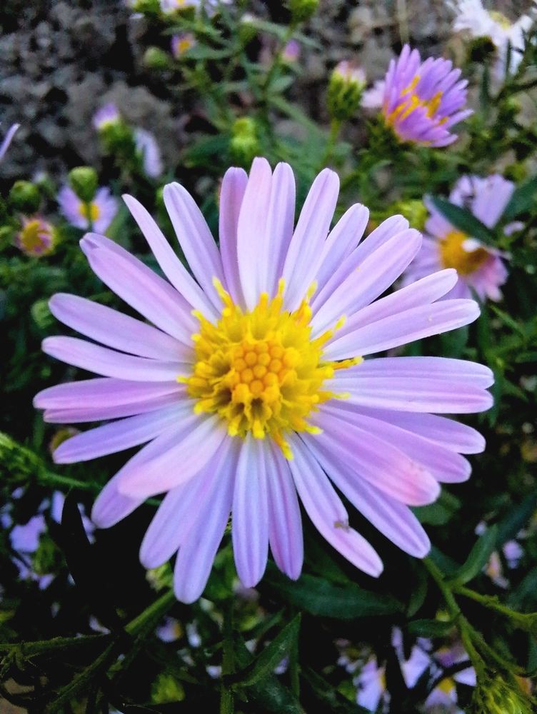 Photograph by Vesna Petkoska