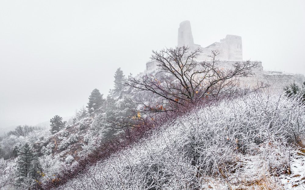 Photograph by Radoslav Garec