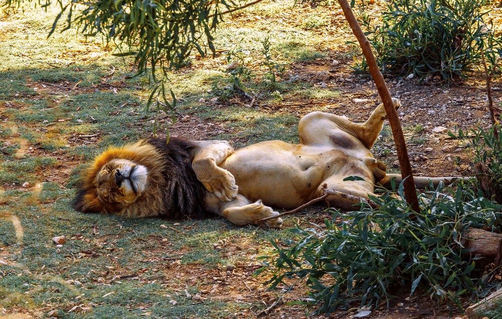 Фотография автора Дмитрий Frost