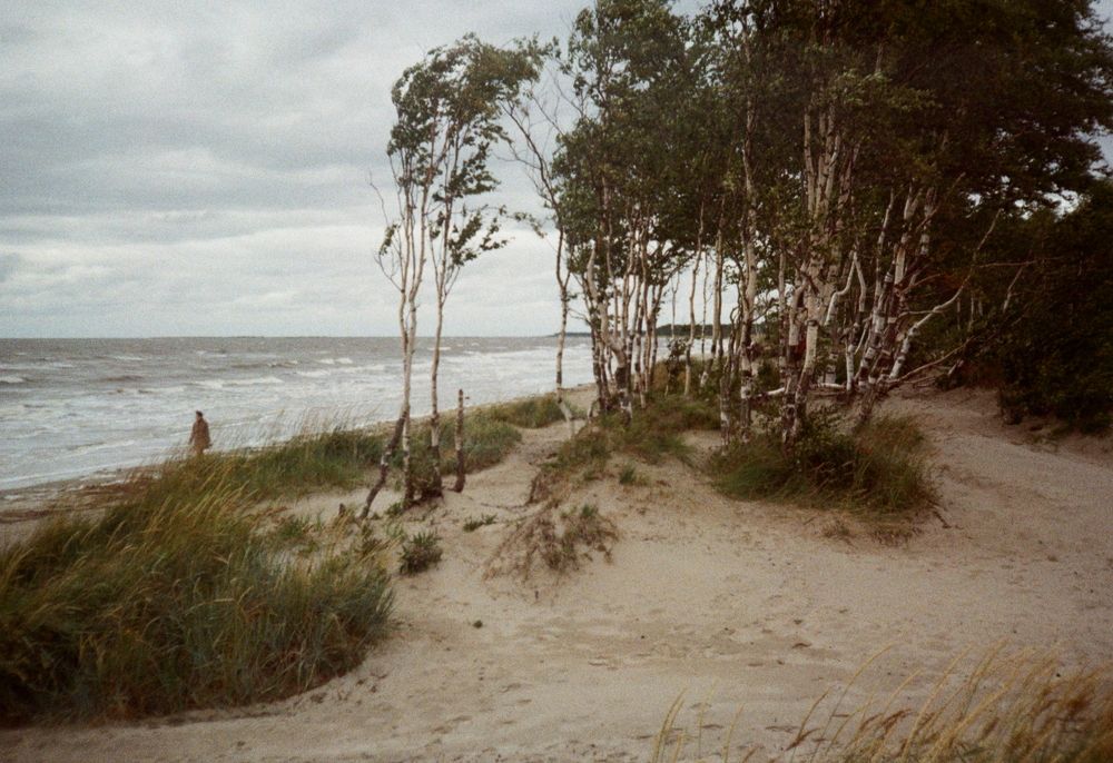 Фотография автора Иван Домарацкий