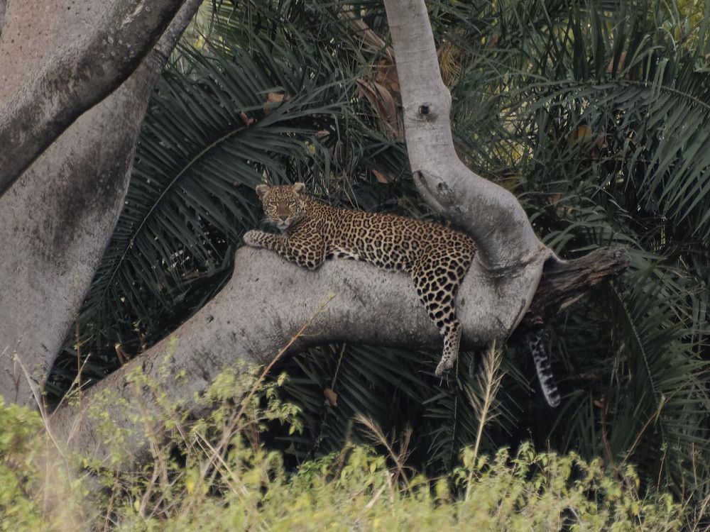 Photograph by Андрей Панин