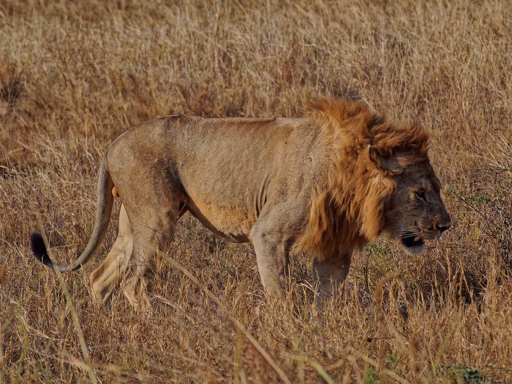 Photograph by Андрей Панин