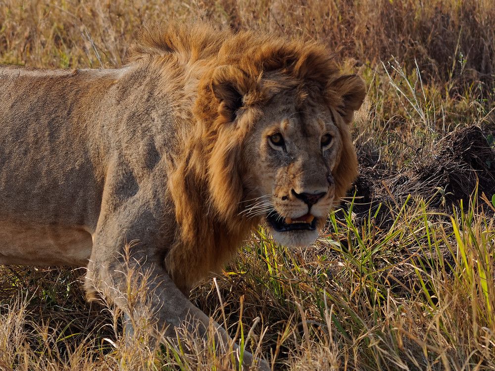 Photograph by Андрей Панин