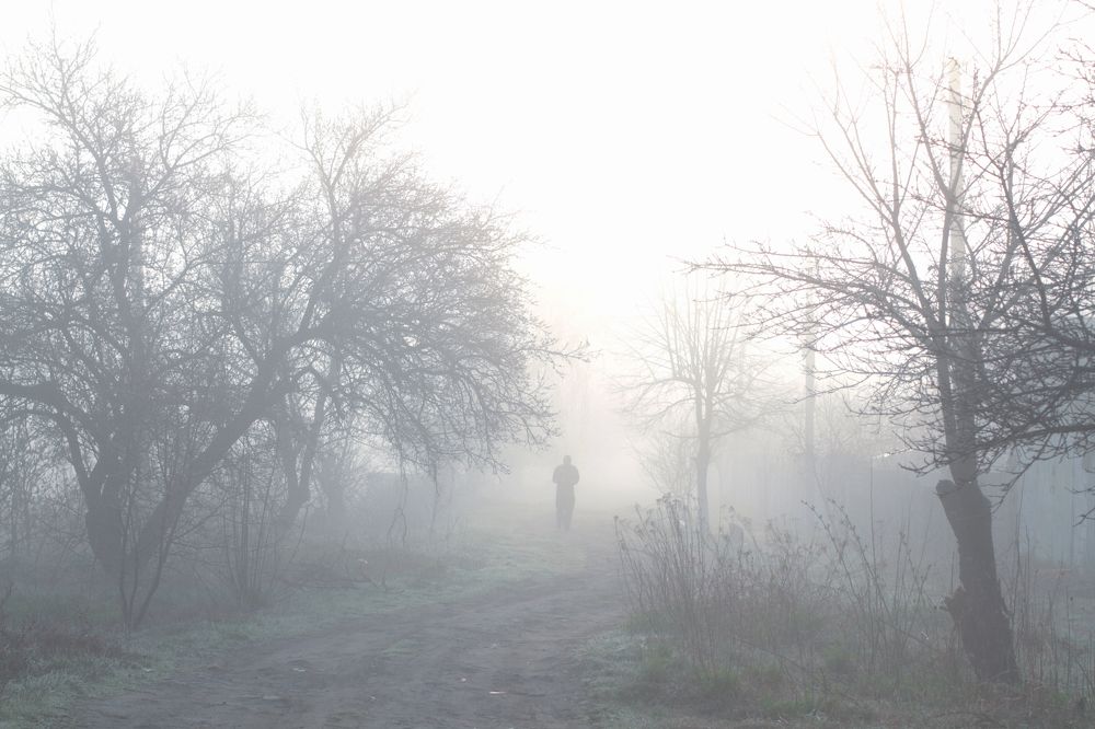 Photograph by Александр Мороз