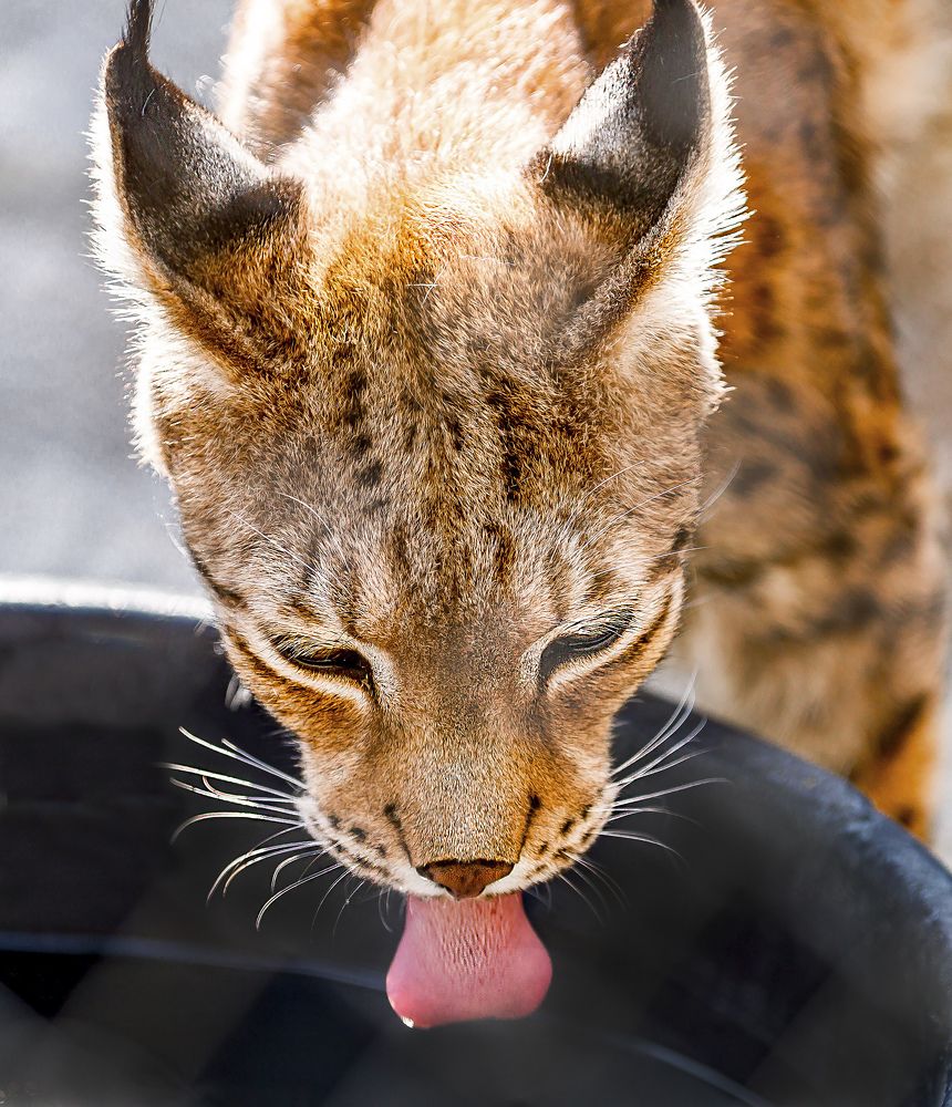 Фотография автора Дмитрий Frost