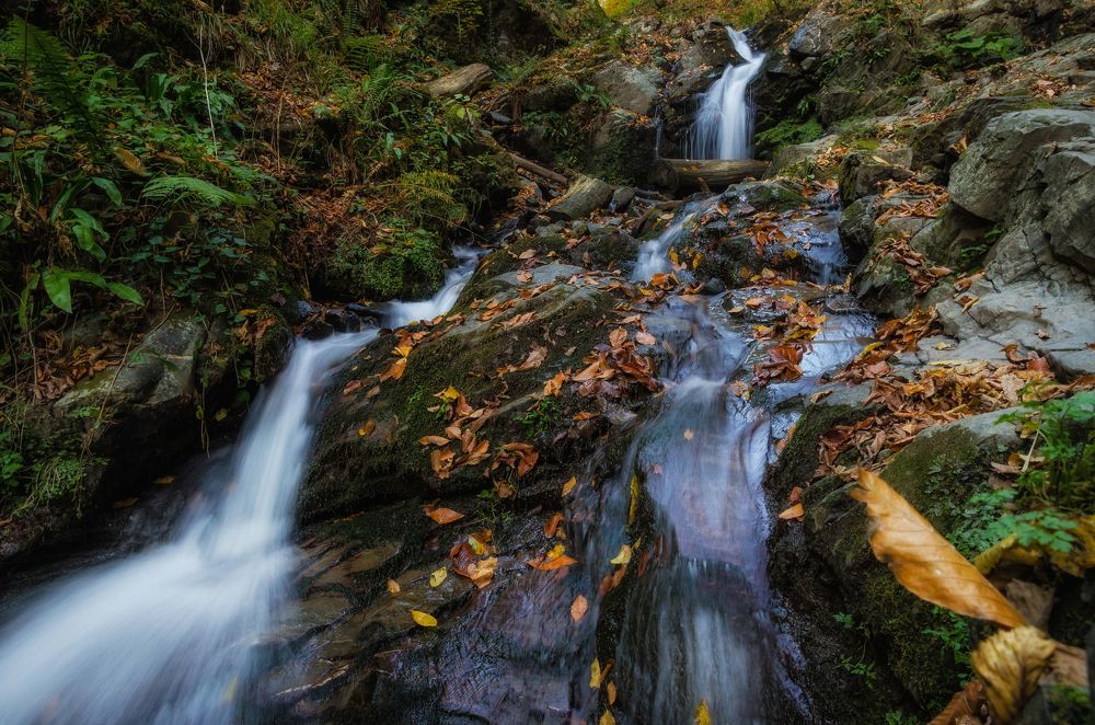 Photograph by Анатолий Щербак