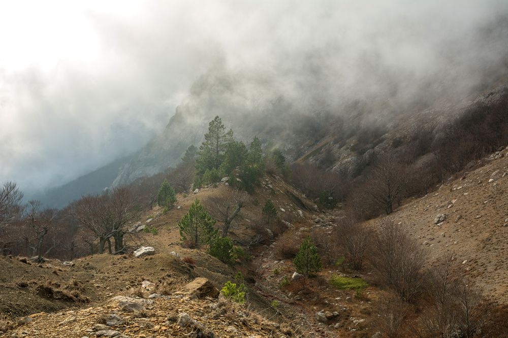 Photograph by Елена Ковалева