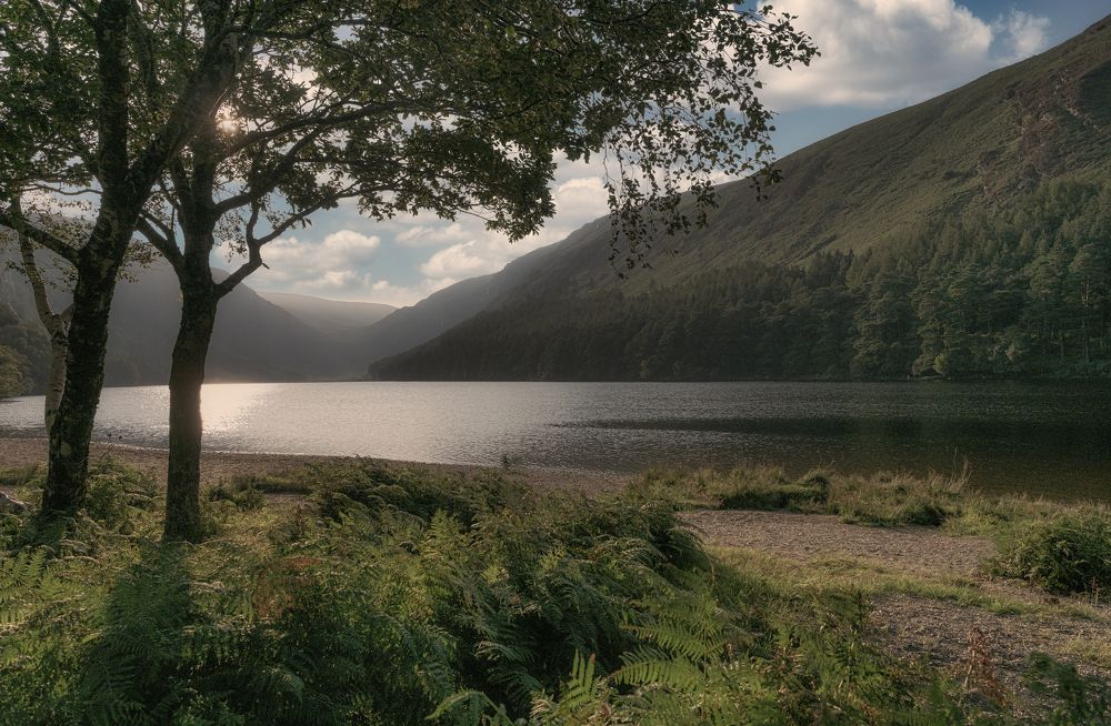 Photograph by Alexander