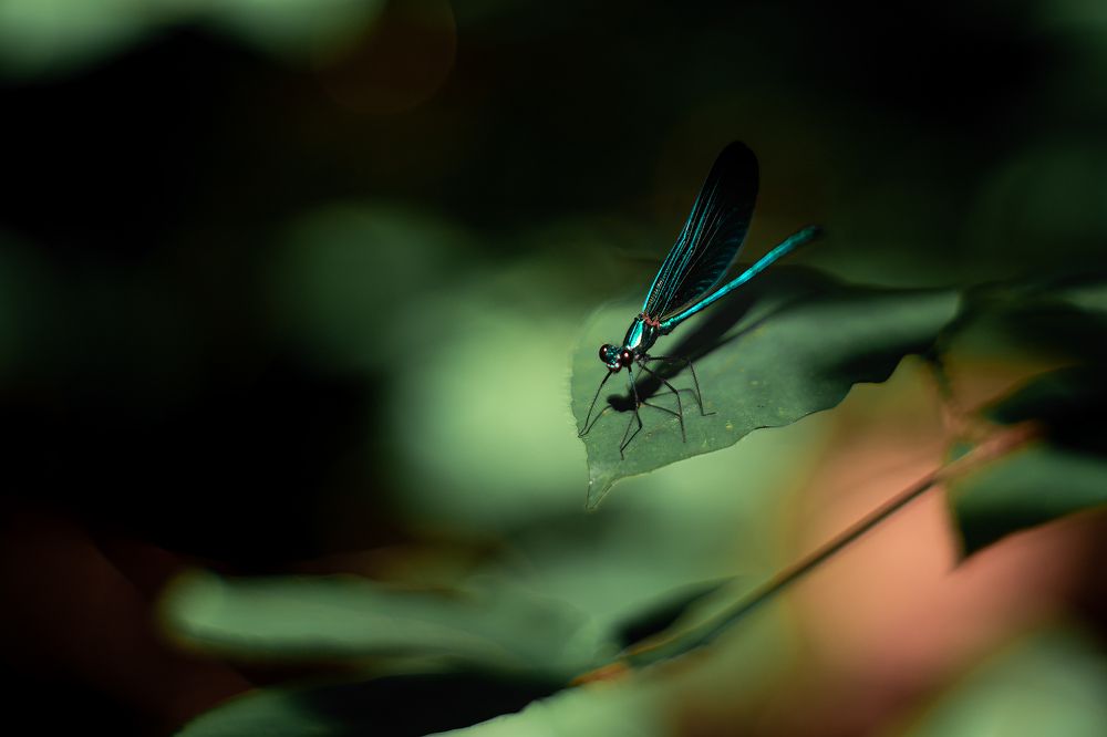 Photograph by Егор