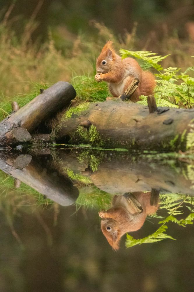 Photograph by Silvia Koopmans