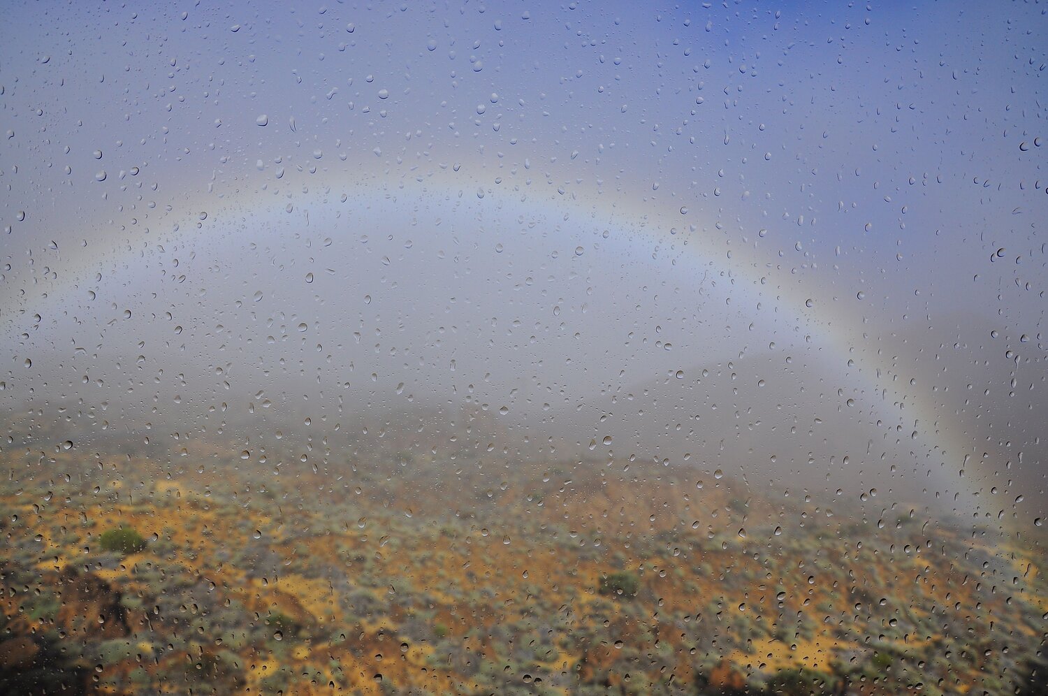 Photo #6807938