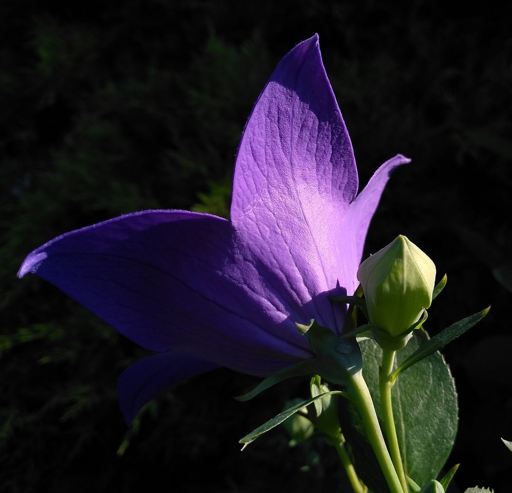 Photograph by Павел