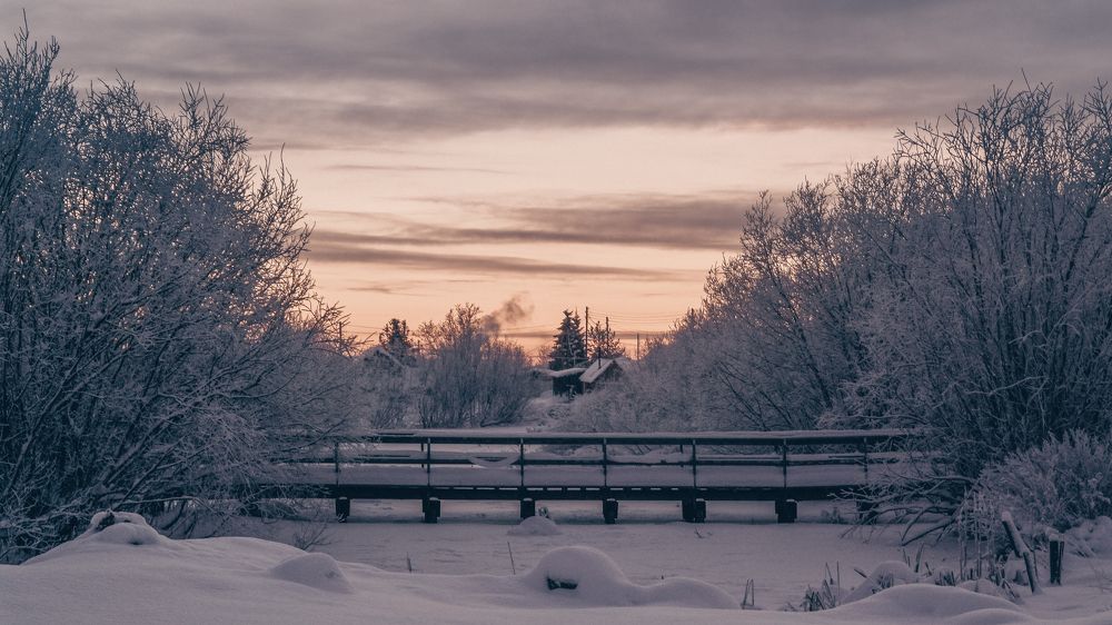 Photograph by Ольга Ситникова