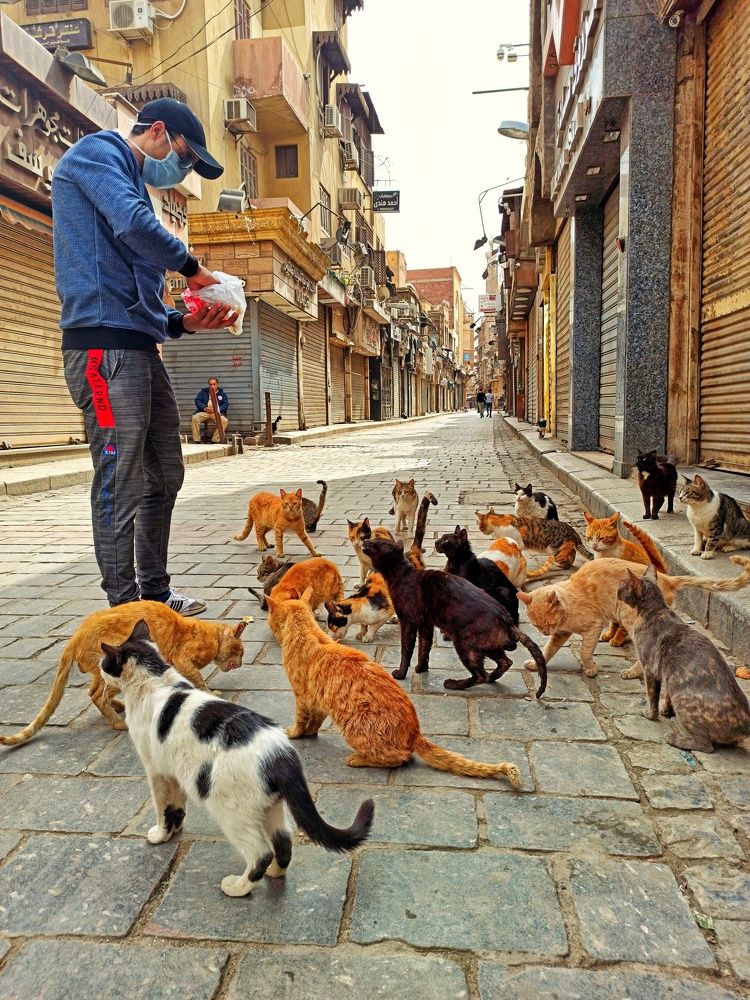 Photograph by mahmoud emad