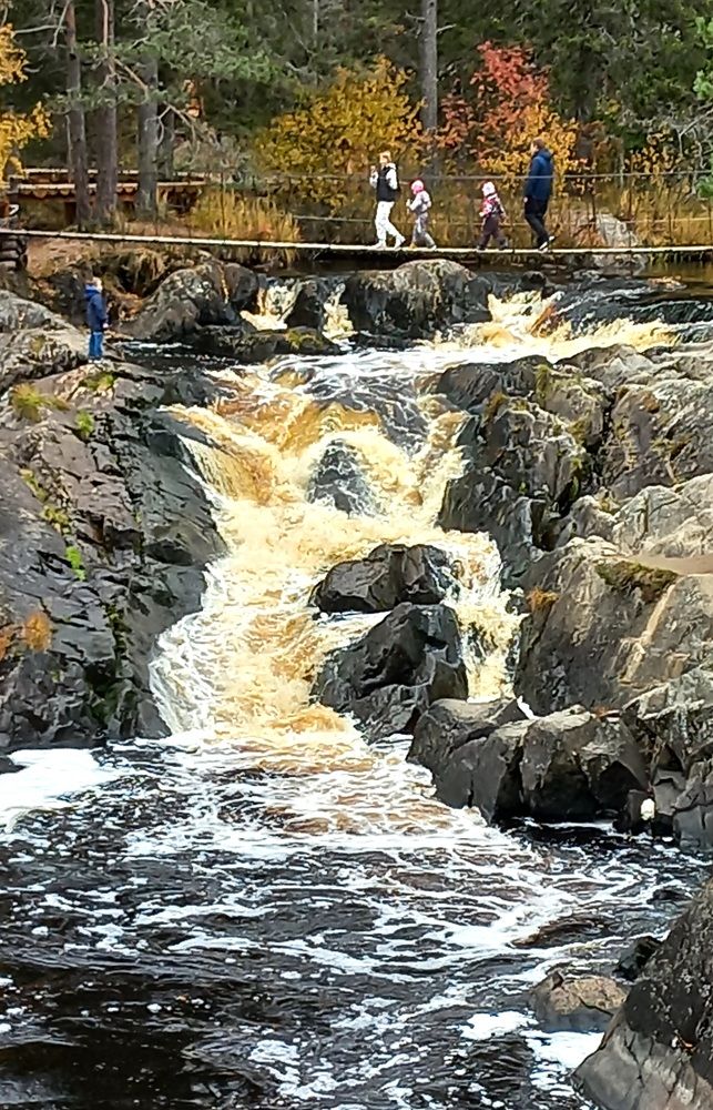 Photograph by Евгений Савулькин