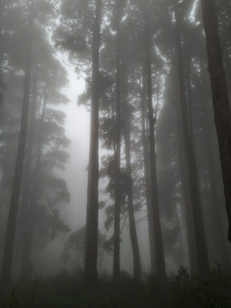 Photograph by Sujoy Chanda