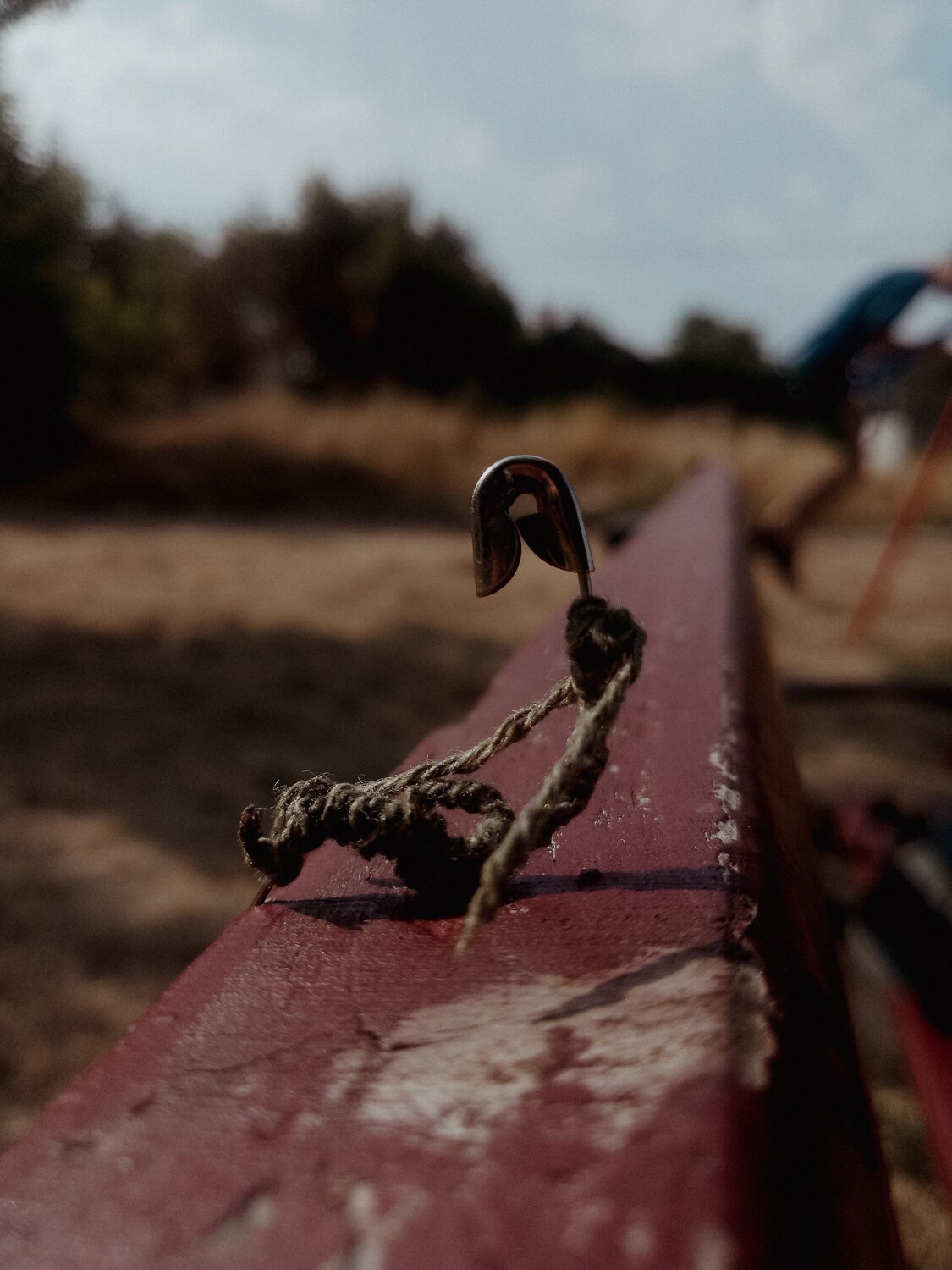 Photo #6808579