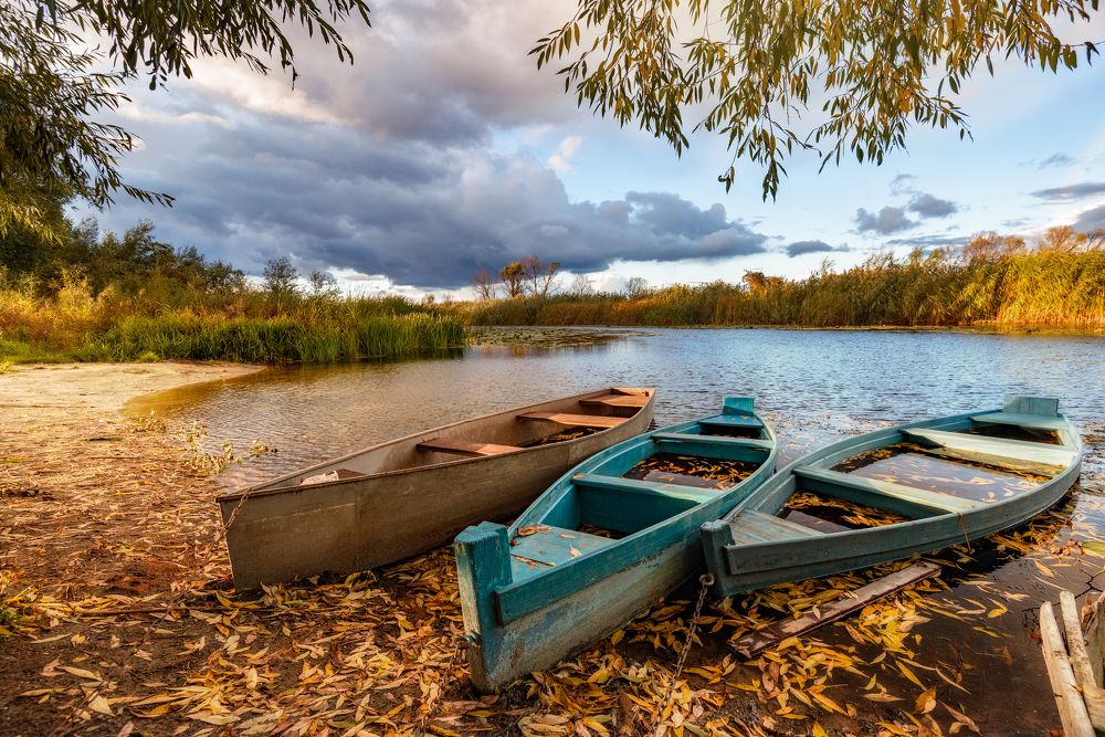 Фотография автора Антон Караваев