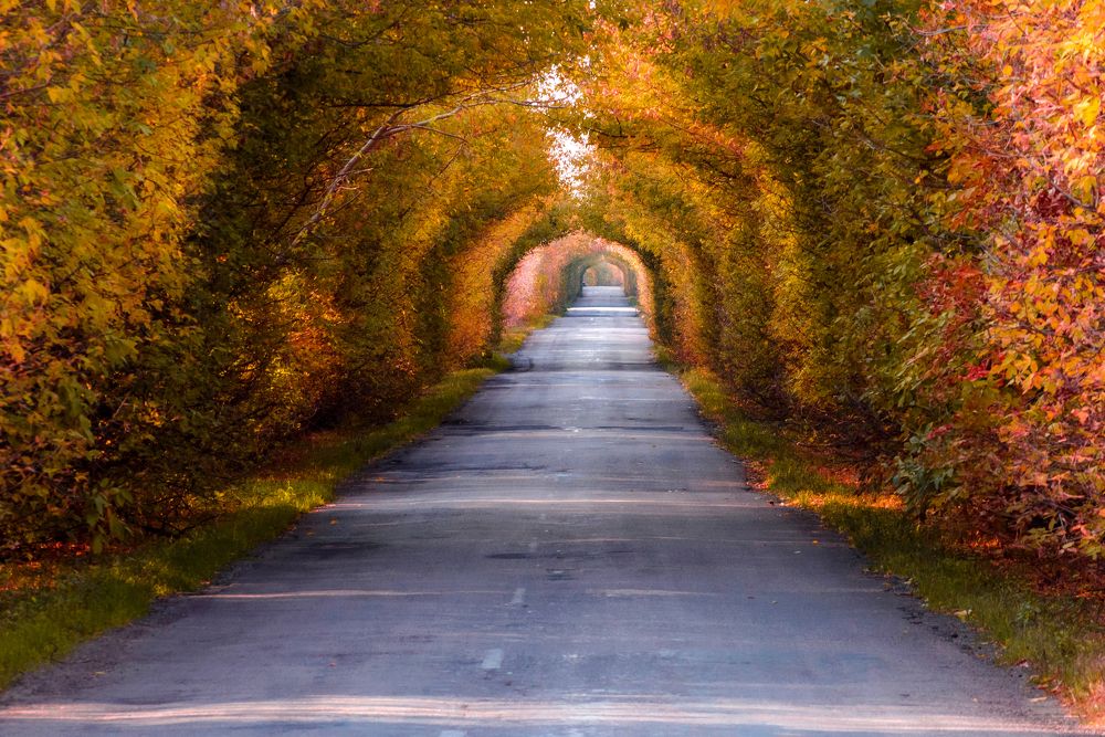 Фотография автора Антон Караваев