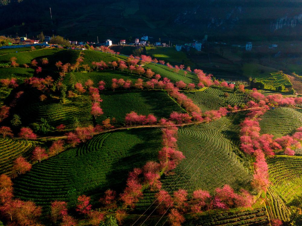 Photograph by Chris Duy