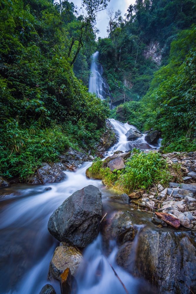 Photograph by Trung Duong