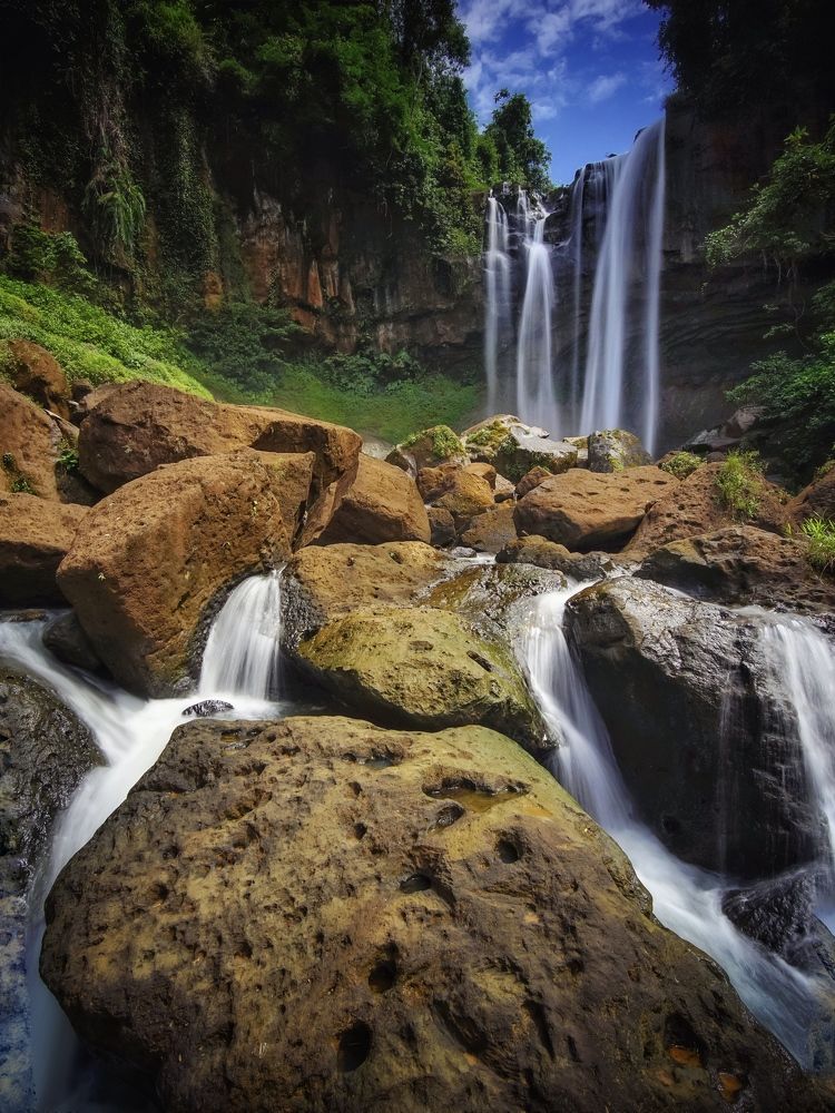 Фотография автора 